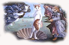 Copia di Catz 6